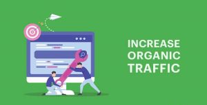 Boost-your-website-traffic-for-free-with-organic-hits-1